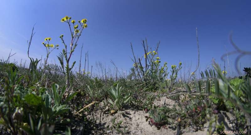Germany Calls for Rain to End Third Consecutive Summer Drought