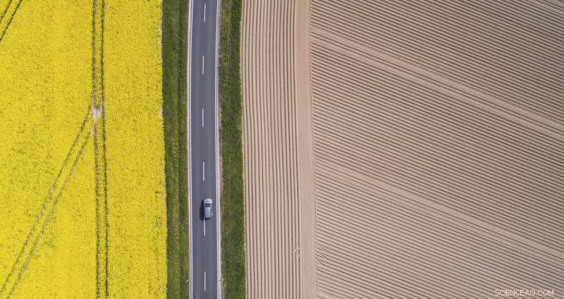 Germany Calls for Rain to End Third Consecutive Summer Drought