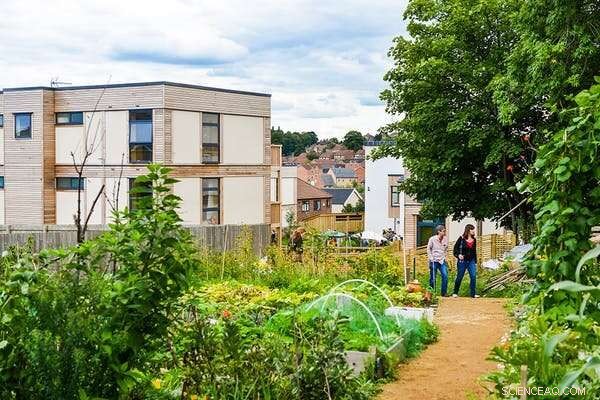 Coronavirus: A Real‑Time Lab for Building Sustainable Urban Futures