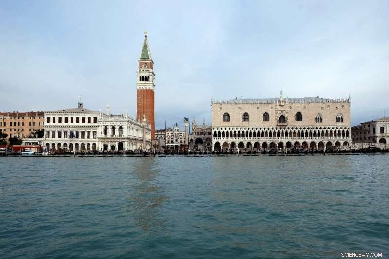 How the Pandemic Pause Revealed Venice Lagoon’s Hidden Biodiversity