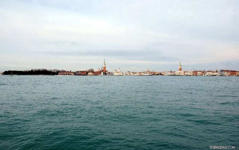 How the Pandemic Pause Revealed Venice Lagoon’s Hidden Biodiversity