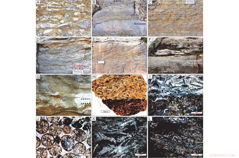 Mapping Carbonate Isotope Shifts: The Cambrian SPICE Event in Eastern North China