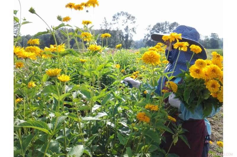 US Farm Workers Will Face Double the Number of Unsafe Heat Days by 2050