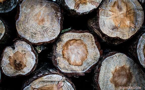 Comprehensive Global Water‑Use Efficiency Database