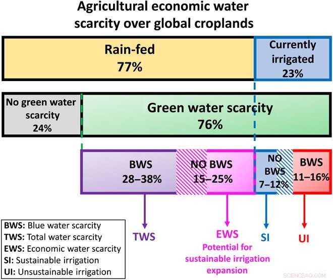 Expanding Irrigation Could Feed an Additional 800 Million People