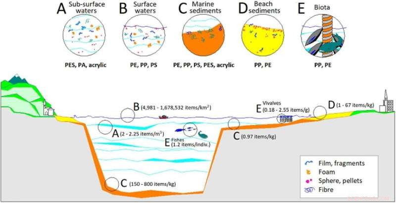 Microplastics Found in 50% of Bay of Biscay Samples: New Study Highlights Widespread Contamination