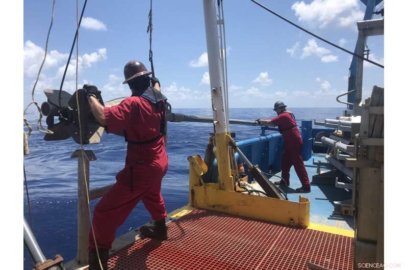 Bubbling Life: Deep-Seated Petroleum Fuels Seafloor Ecosystems