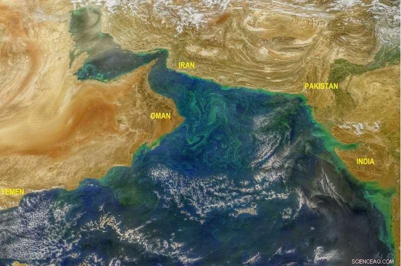 Melting Ice Caps Amplify Harmful Algal Blooms in the Arabian Sea