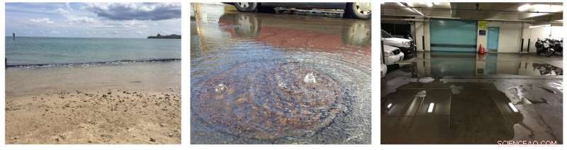 Rising Sea Levels Pose Growing Risks to Honolulu’s Urban Infrastructure