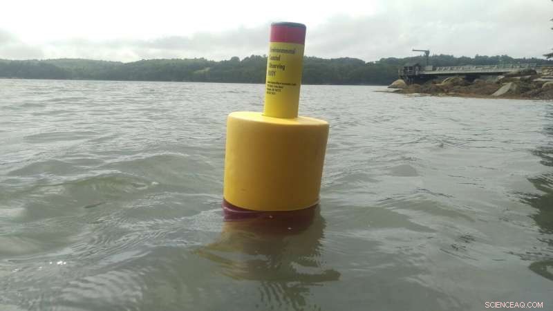 Affordable Environmental Monitoring Buoy Revolutionizes Ocean Data Collection