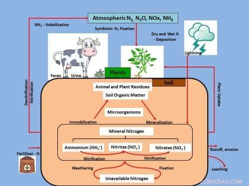 Exploring How Nitrogen Dynamics Shape China’s Carbon and Water Budgets