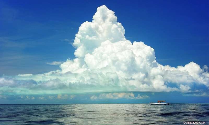 AI-Powered Marine Mapping: Accurate Ocean Floor Insights