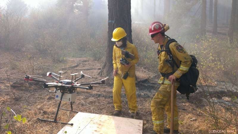 New Research Warns Prescribed Burns Could Release Harmful Atmospheric Toxins