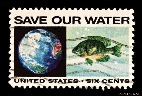 How Lockdown Digitized Environmental Activism—and Its Potential to Reshape the Movement