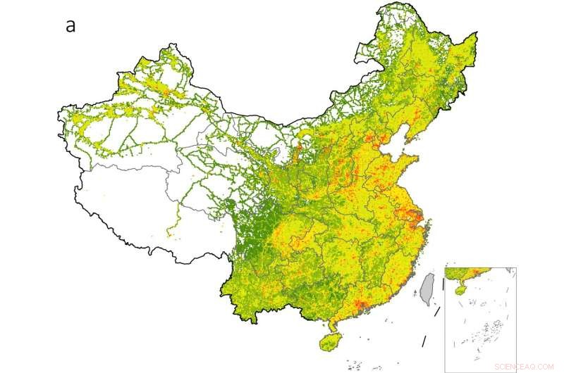 Uncovering China’s Export-Driven Carbon Hotspots