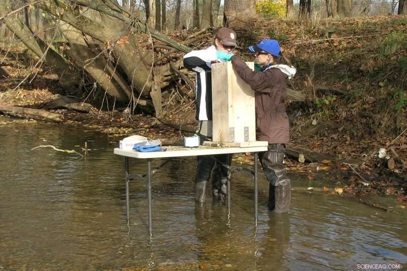 Assessing Mercury Contamination in Virginia’s South River: Findings & Implications