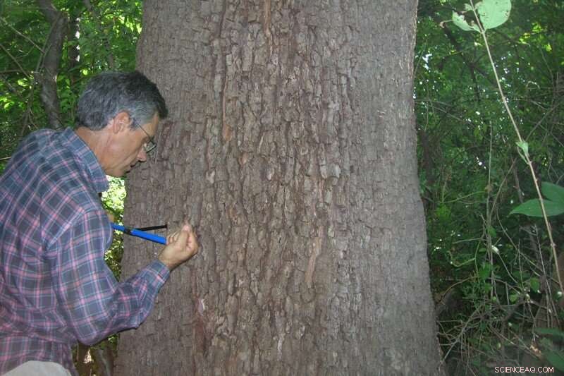 Assessing Mercury Contamination in Virginia’s South River: Findings & Implications