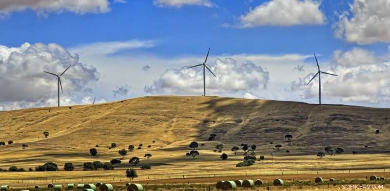 Why Ignoring Climate Change Is an Economic Liability in Post‑Pandemic Recovery