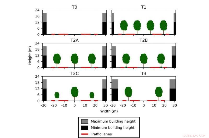Diverse Tree Species Deliver Cleanest Urban Air, Study Finds
