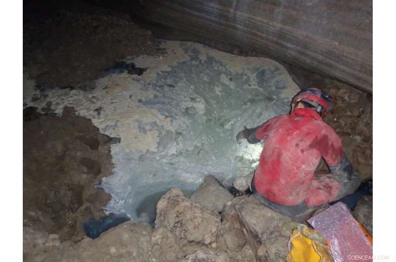 Scientists Discover Human Pollution Alters Underground Ecosystems