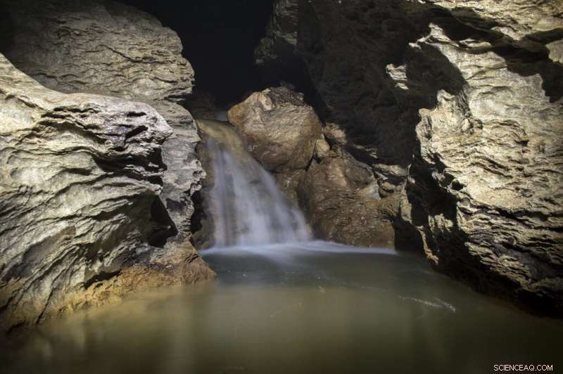 Scientists Discover Human Pollution Alters Underground Ecosystems