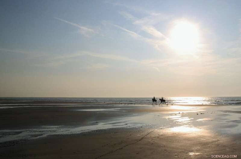 Global Sea Levels May Exceed 1 Meter by 2100 if Emission Targets Aren’t Met, NTU Study Warns