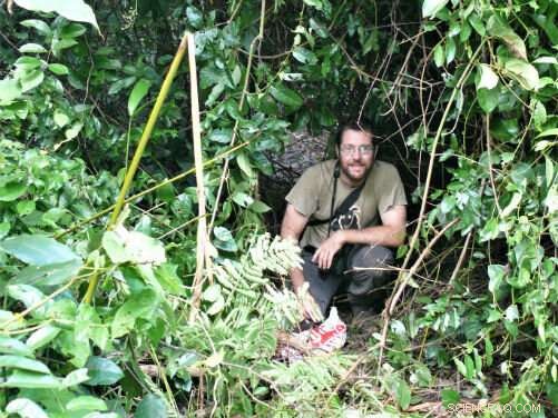 Scientist Issues Alarming Fire Warning for Australia as Protective Vines Dry