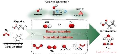 Heterogeneous Catalytic Ozonation: A Proven Solution for Advanced Water Purification