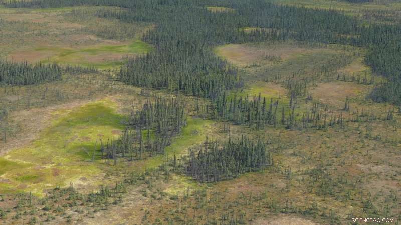 Drought-Driven Water Loss in Northern Peatlands Could Amplify Fires and Accelerate Global Warming