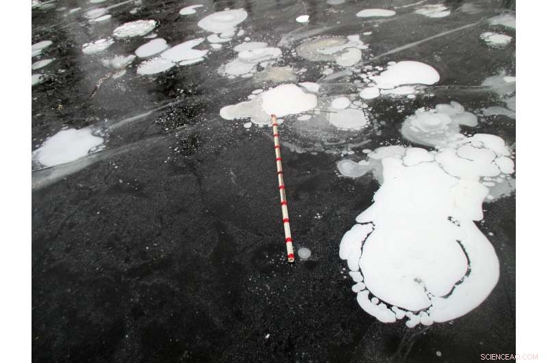 Satellite Radar Technique Pinpoints Methane Emissions from Arctic Lakes