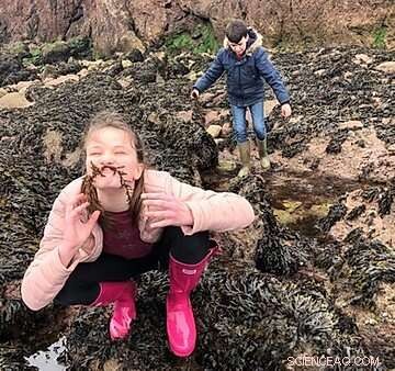 Turn Invasive Seaweed into Biofuel and Fertilizer – A Sustainable, Cost‑Effective Breakthrough