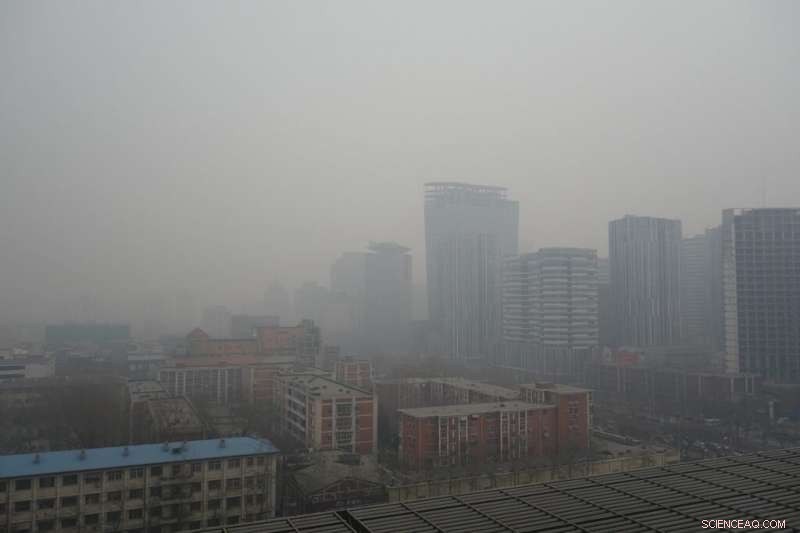 How COVID-19 Lockdowns Have Dramatically Improved Global Air Quality