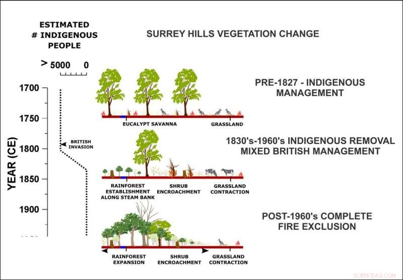 Tasmanian Rainforest: From Aboriginal-Maintained Savanna to Colonial Change