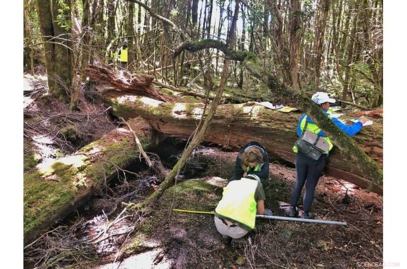 Tasmanian Rainforest: From Aboriginal-Maintained Savanna to Colonial Change