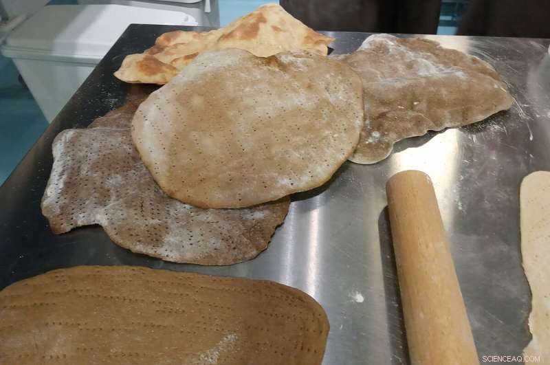 Insects as a Key to Europe’s Food Self‑Sufficiency: Potential and Adoption Challenges