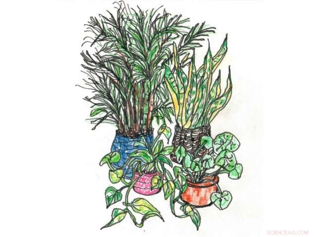 How to Preserve Cleaner Air: Practical Steps & Solutions