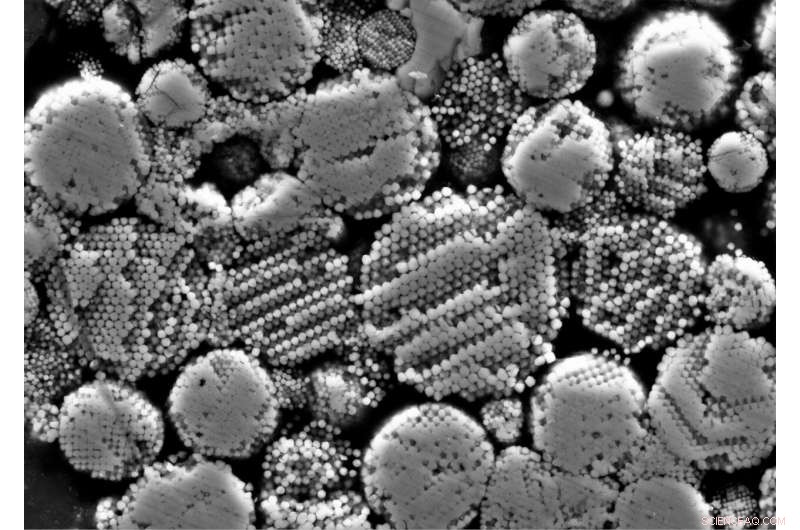 Scientists Discover Solar System s Oldest Molecular Fluids: A Potential Key to Early Life