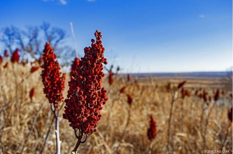 Upper Missouri River Basin 2000‑2010 Drought: The Driest Period in 1,200 Years