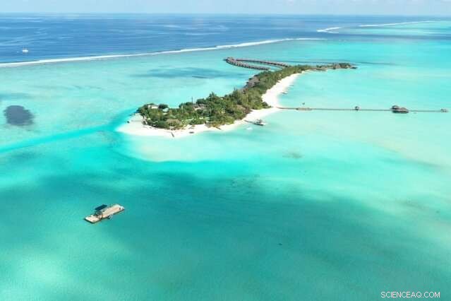 Innovative Sand-Redirecting Experiments Aim to Mitigate Sea-Level Rise