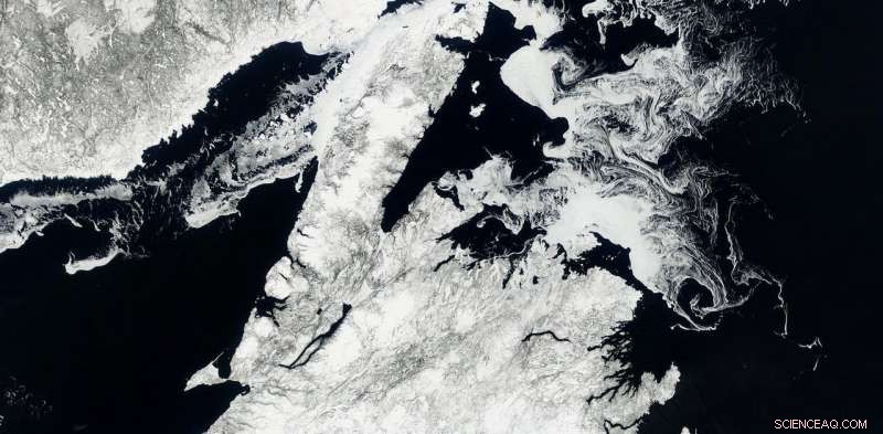 From Pangaea to Today: How Earth s Last Supercontinent Fragmented into the Modern World