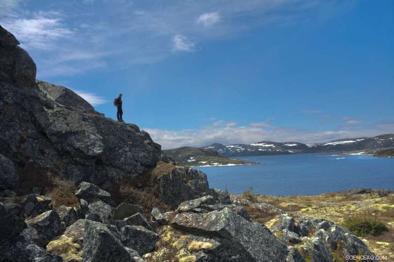 From Pangaea to Today: How Earth s Last Supercontinent Fragmented into the Modern World