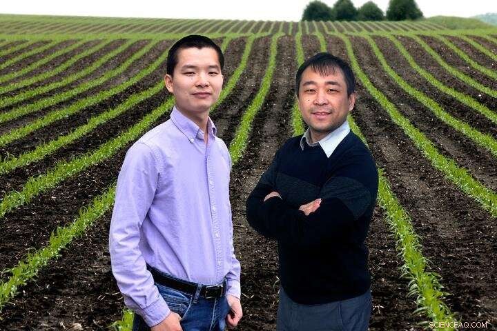 Enhancing Crop Modeling Across Scales to Strengthen Climate Adaptation Strategies