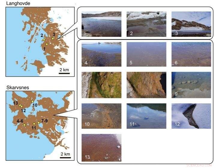 Detailed Mapping of Microbial Communities Around Antarctic Lakes