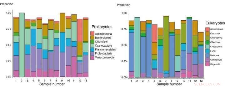 Detailed Mapping of Microbial Communities Around Antarctic Lakes