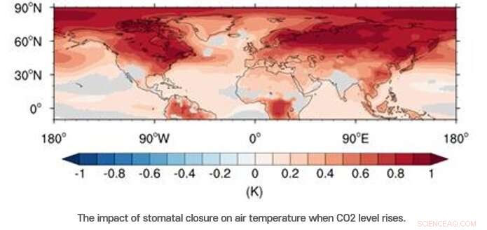 When Plants Stop Breathing: Accelerated Arctic Melting Revealed