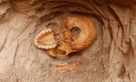 A 1,000‑Year‑Old Indian Ocean Tsunami Highlights Underestimated Global Risk