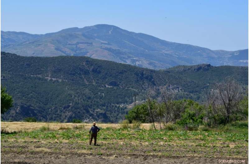 How Popular Proverbs Reveal Climate Change Impacts