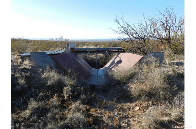Shrub Encroachment Boosts Groundwater Recharge on Grasslands