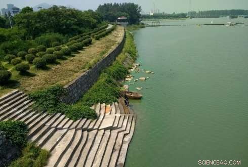 Balancing Nitrogen and Phosphorus: Why Wastewater Purification Can Trigger Algal Blooms