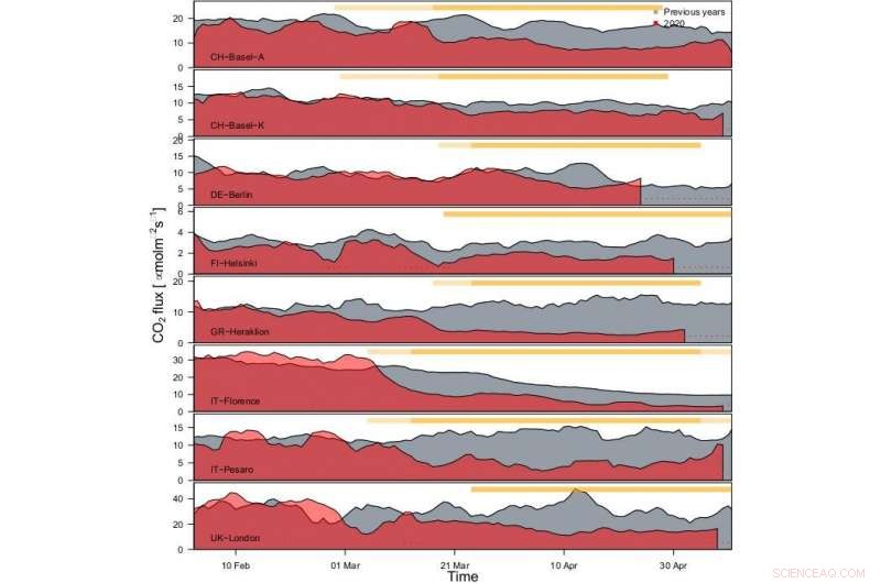 COVID‑19 Lockdowns Dramatically Cut Urban Carbon Emissions